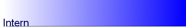 Intern